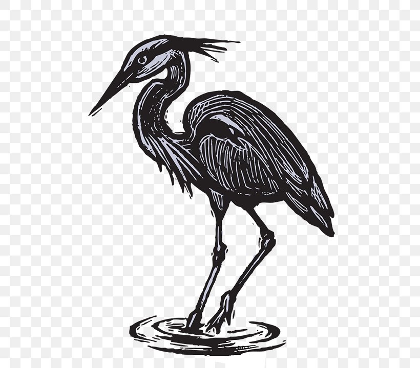 Crane Heron Bird, PNG, 749x720px, Crane, Art, Beak, Bird, Black And ...