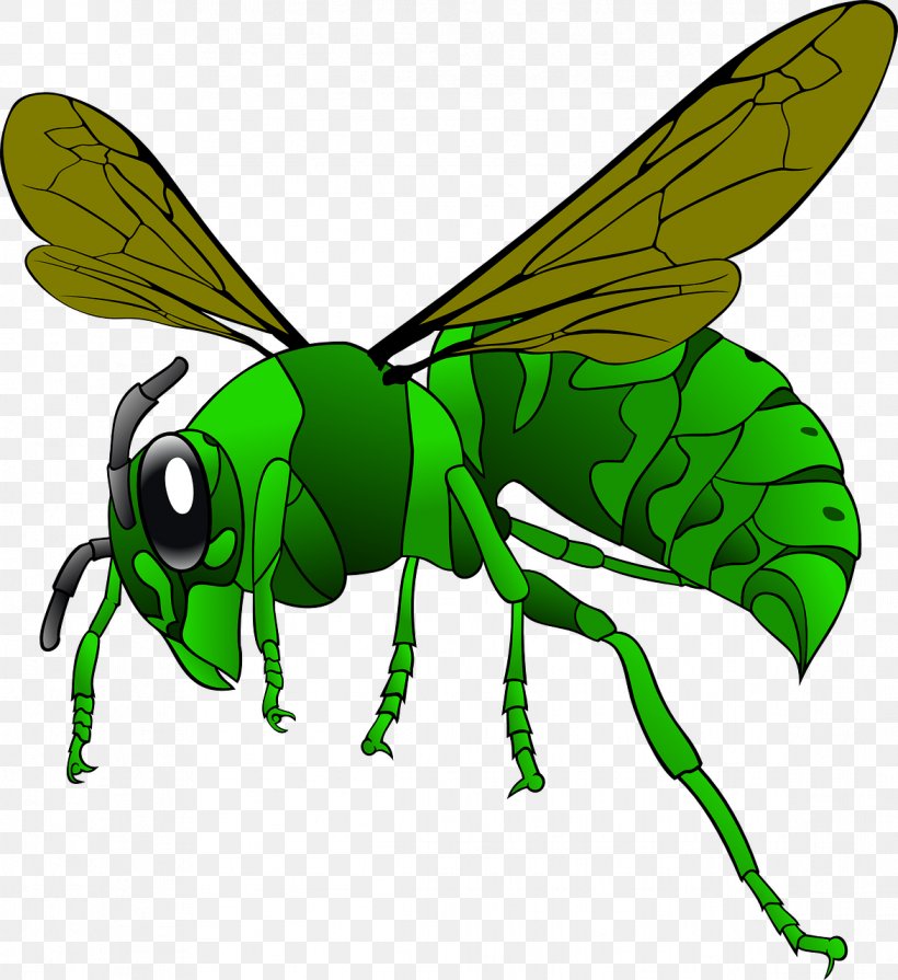 Green Hornet Bee Vespa Simillima Clip Art, PNG, 1172x1280px, Green Hornet, Arthropod, Bee, Cartoon, Drawing Download Free