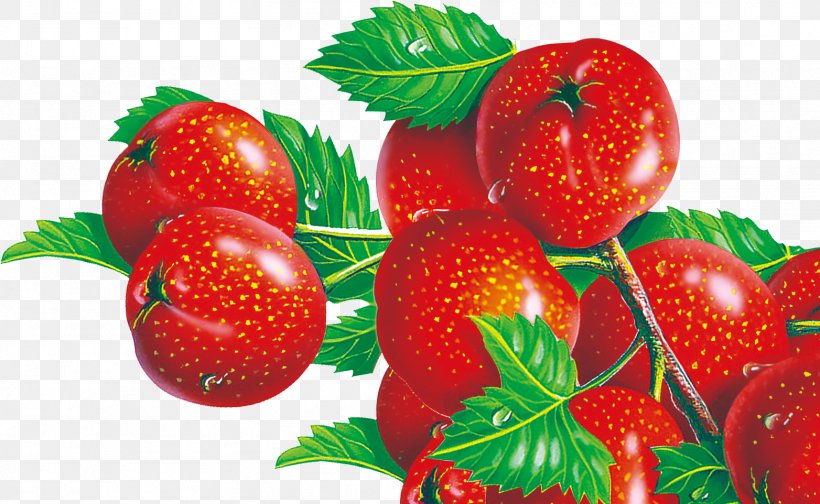 Strawberry Fruit Auglis, PNG, 1564x962px, Strawberry, Accessory Fruit, Auglis, Berry, Cherry Download Free