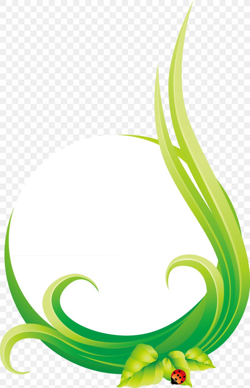 Leaf Euclidean Vector Natural Environment Circle, PNG, 1599x2475px, Leaf, Clip Art, Fictional Character, Flora, Flower Download Free