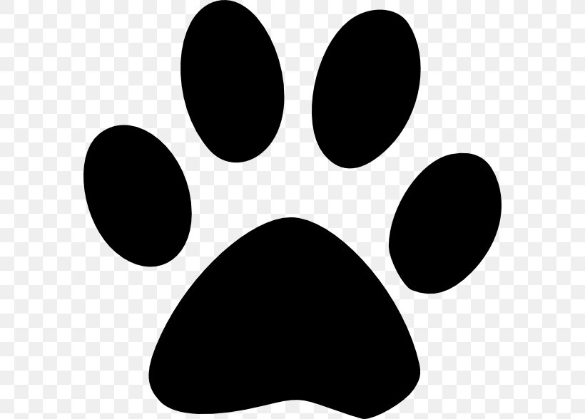 Pet Sitting Dog Cat Paw, PNG, 586x588px, Pet Sitting, Animal, Animal Control And Welfare Service, Animal Rescue Group, Animal Shelter Download Free