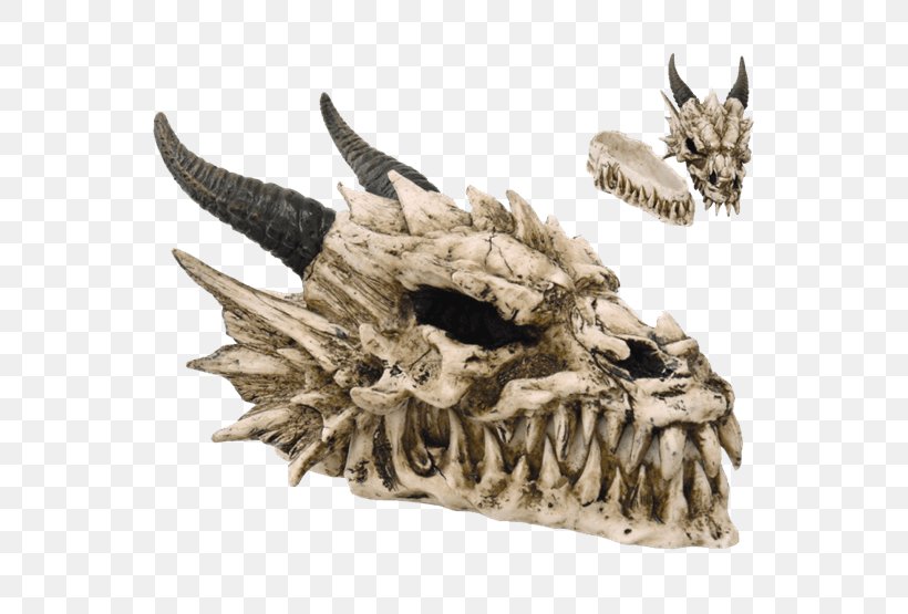 Skull Skeleton Dragon Head Statue, PNG, 555x555px, Skull, Bone, Claw, Collectable, Dragon Download Free