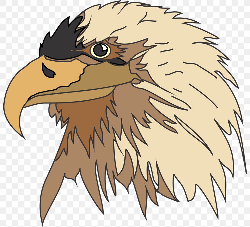 Bald Eagle Living Creatures Cherub Revelation 4, PNG, 800x744px, Bald Eagle, Angel, Beak, Bib, Bird Download Free