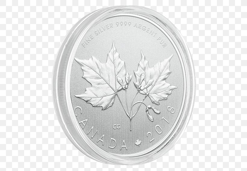 Coin Silver Leaf White, PNG, 570x570px, Coin, Black And White, Currency, Leaf, Money Download Free