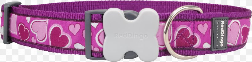 Dog Collar Dingo Puppy Leash, PNG, 3000x746px, Dog, Animal, Audio, Clothing Accessories, Collar Download Free