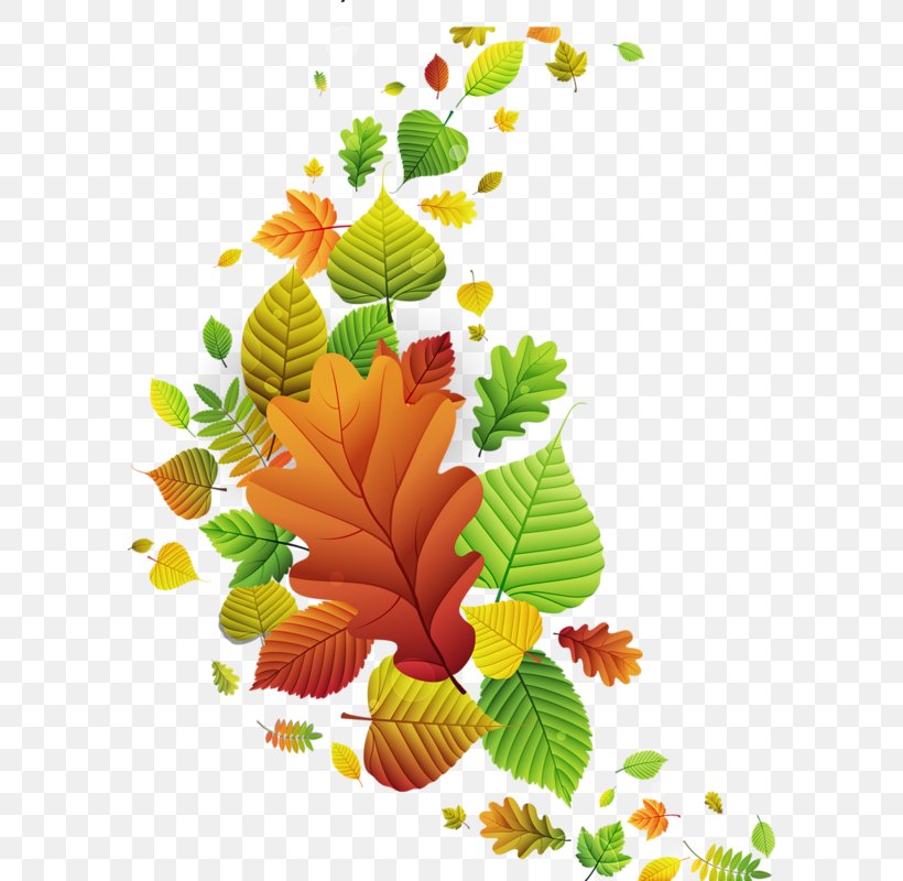 Autumn Photography Clip Art, PNG, 588x800px, Autumn, Art, Blog, Branch, Flora Download Free