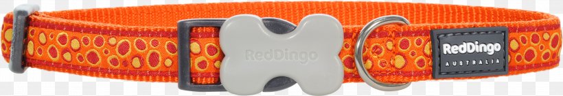 Dog Collar Dingo Leash, PNG, 3000x518px, Dog, Anjing Jepun, Audio, Brand, Cat Download Free