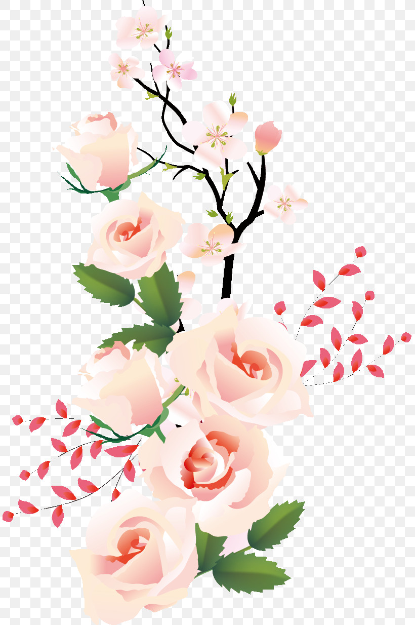 Floral Flowers, PNG, 809x1234px, Floral, Blossom, Branch, Cut Flowers, Floral Design Download Free