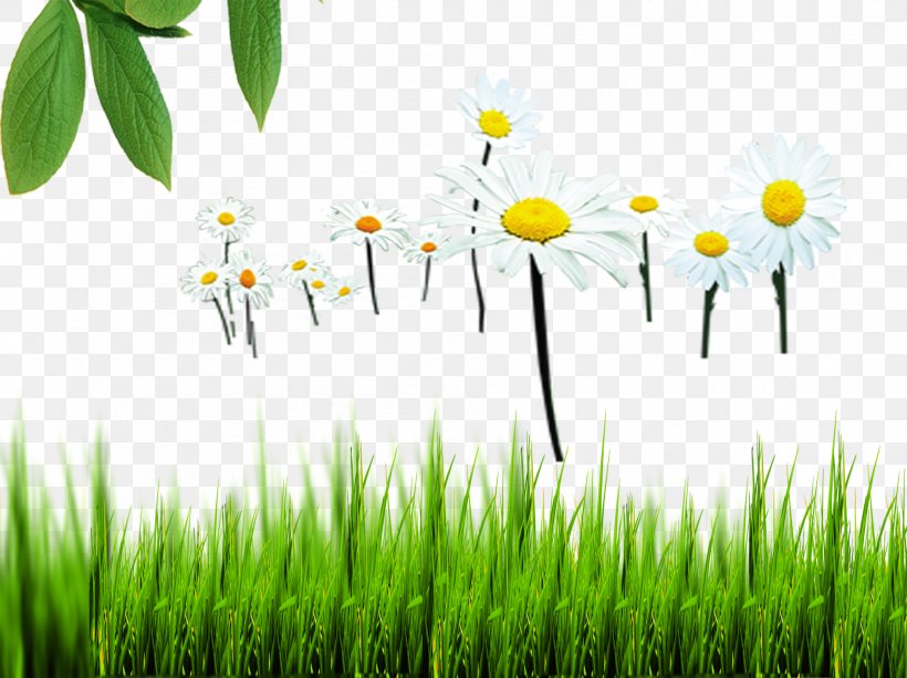 Natural Environment Nature Euclidean Vector, PNG, 1892x1416px, Environment, Energy, Environmental Science, Field, Flower Download Free