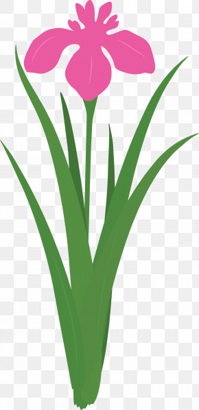 Iris Flower Spring Flower PNG