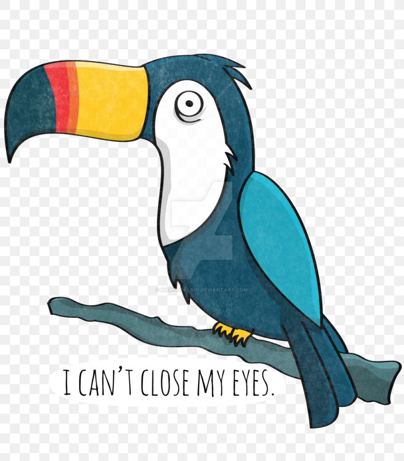 Rhett And Link Macaw Good Mythical Morning Toucan, PNG, 1024x1170px, Rhett And Link, Beak, Bird, Deviantart, Fan Art Download Free