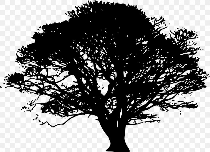 Tree Silhouette Art Clip Art, PNG, 958x696px, Tree, Art, Black And White, Branch, Drawing Download Free