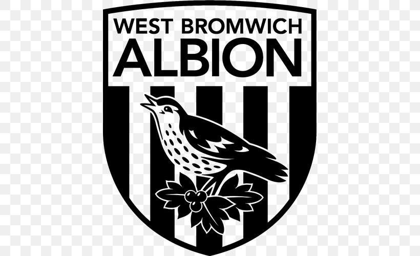 West Bromwich Albion F.C. Reserves And Academy Premier League Football, PNG, 500x500px, West Bromwich Albion Fc, Alan Pardew, Art, Beak, Bird Download Free