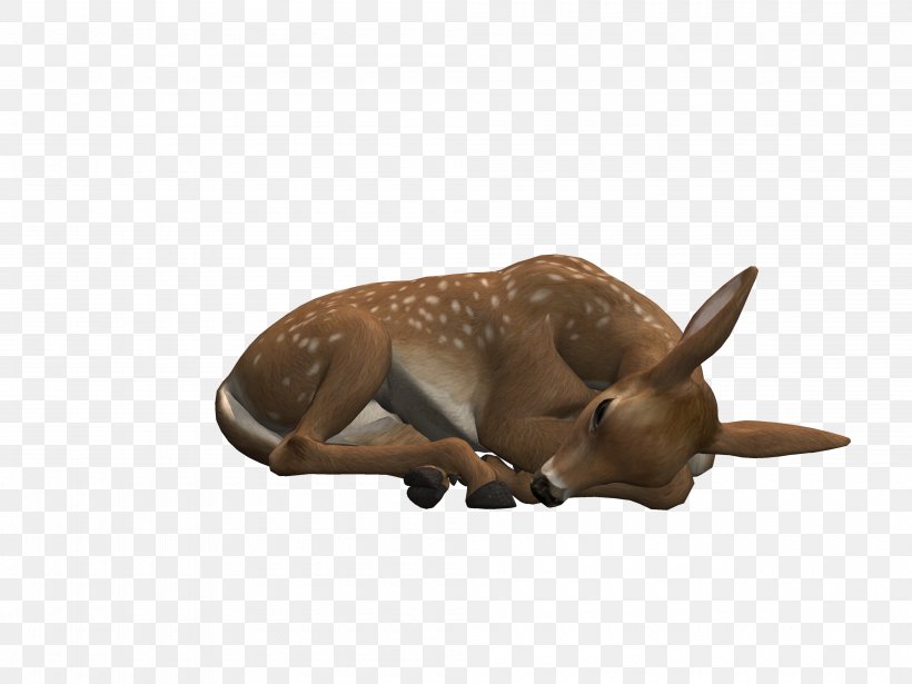Deer Horn Antler Animal Easter, PNG, 4000x3000px, Deer, Animal, Animal Figure, Antler, Easter Download Free