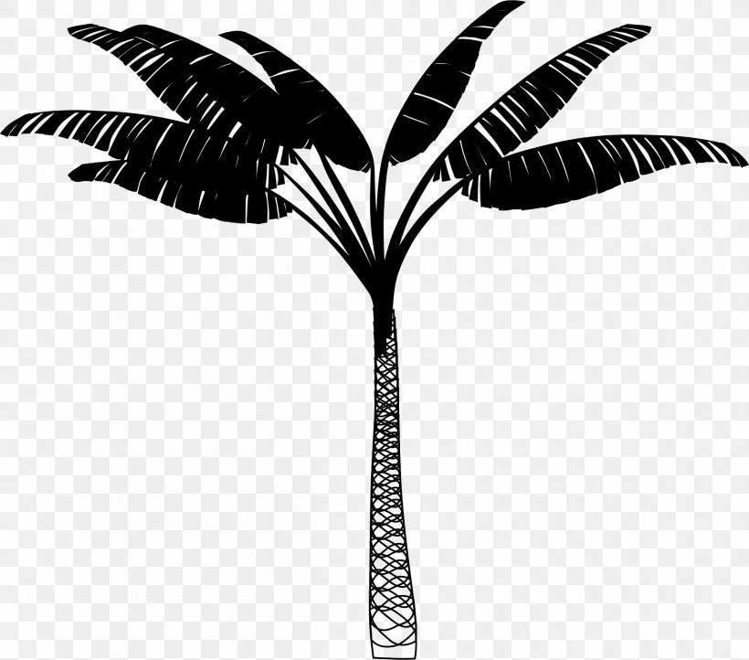 Kawani Resort Palm Trees Accommodation Nacala, PNG, 2400x2114px, 2019, Palm Trees, Accommodation, Arecales, Attalea Speciosa Download Free