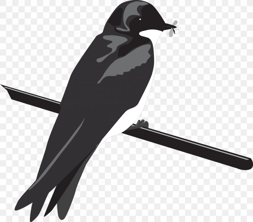 Swallow Bird, PNG, 1198x1053px, American Crow, Barn Swallow, Beak, Bird, Creativity Download Free