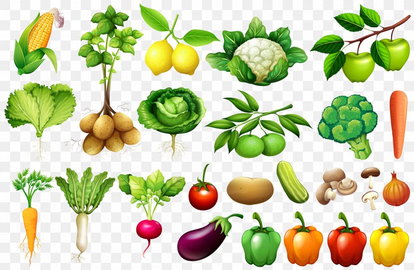Vegetable Euclidean Vector Illustration, PNG, 2000x1303px, Vegetable, Calorie, Diet Food, Food, Food Group Download Free