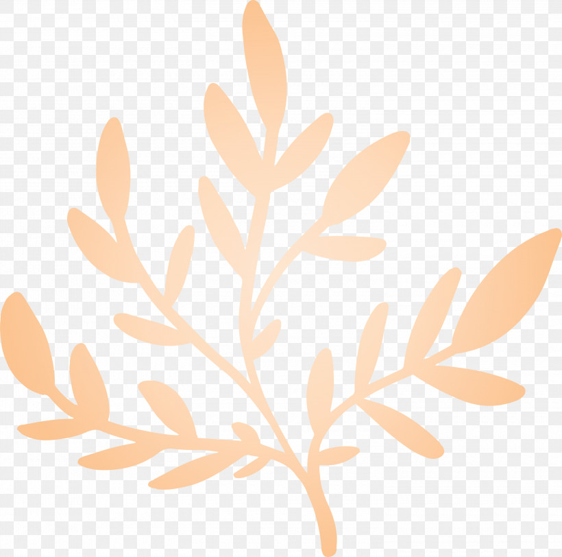 Orange, PNG, 3000x2973px, Leaf, Biology, Commodity, Meter, Orange Download Free