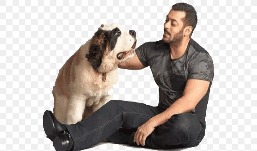 Being Human Foundation India Actor Bollywood Film Producer, PNG, 768x482px, Being Human Foundation, Actor, Bollywood, Dog, Dog Breed Download Free