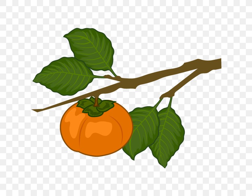 Clip Art Japanese Persimmon Persimmon Branch Fruit Tree, PNG, 640x640px, Persimmon, Apple, Bitter Orange, Branch, Cartoon Download Free