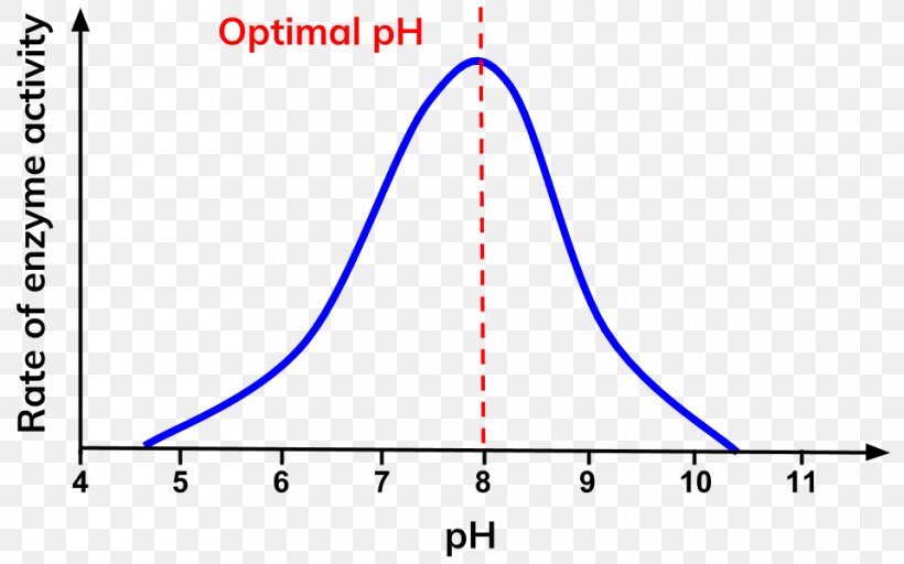 Enzyme PH Thermodynamic Activity Reaction Rate Negative Feedback, PNG, 960x600px, Enzyme, Acidity Function, Area, Biology, Blue Download Free