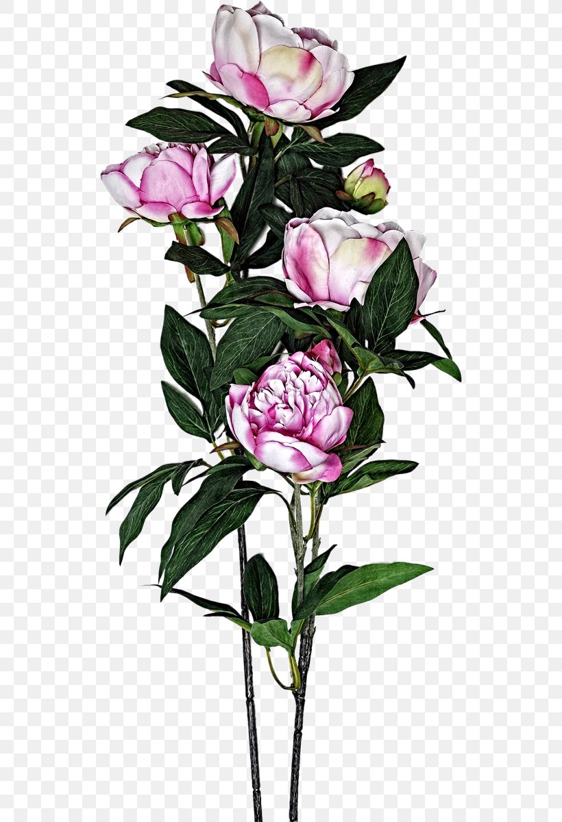 Garden Roses Cabbage Rose Floral Design Cut Flowers, PNG, 530x1200px, Garden Roses, Artificial Flower, Branch, Bud, Cabbage Rose Download Free