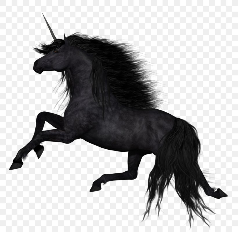 Unicorn Stallion American Paint Horse Mane, PNG, 800x800px, Unicorn, American Paint Horse, Animal, Black And White, Dark Horse Download Free