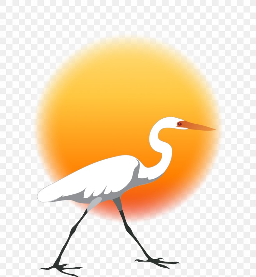 Water Bird Crane Beak Wing, PNG, 848x916px, Bird, Animal, Beak, Computer, Crane Download Free