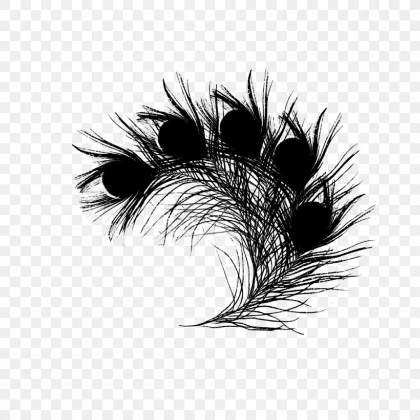 Feather Graphics /m/02csf Black & White, PNG, 1000x1000px, Feather, Black White M, Blackandwhite, Computer, Drawing Download Free