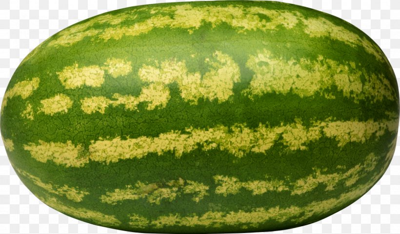 Fruit Watermelon Seed, PNG, 1600x939px, Fruit, Bacterial Wilt, Butternut Squash, Citrullus, Cucumber Gourd And Melon Family Download Free