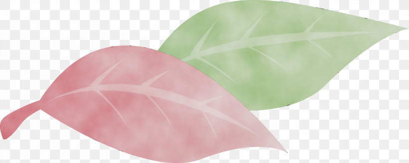 Leaf Pink M Plants Plant Structure Biology, PNG, 3000x1199px, Watercolor, Biology, Leaf, Paint, Pink M Download Free