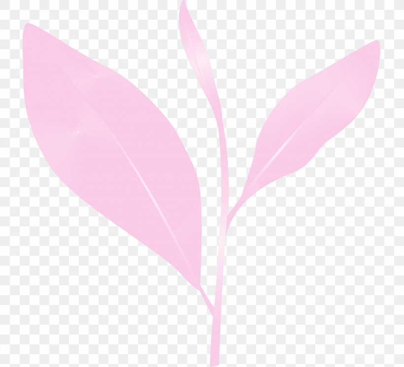 Pink Leaf Flower Plant Pedicel, PNG, 3000x2732px, Tea Leaves, Anthurium, Flower, Leaf, Magenta Download Free