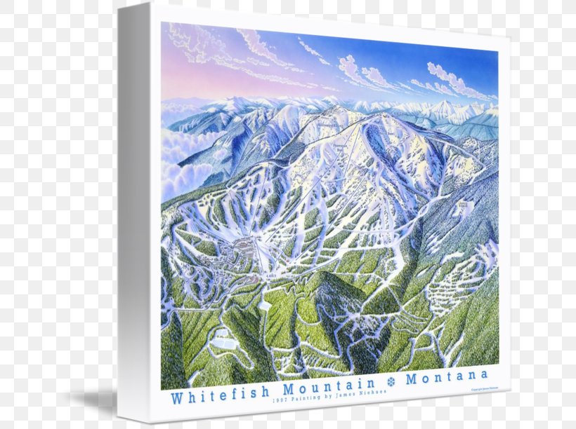 Whitefish Mountain Resort Gallery Wrap Picture Frames Canvas, PNG, 650x612px, Whitefish Mountain Resort, Art, Canvas, Ecosystem, Flower Download Free
