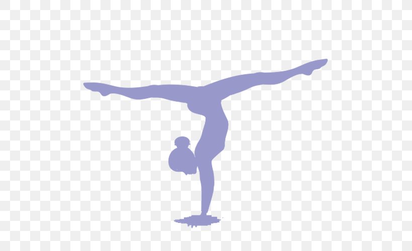 Artistic Gymnastics Split Sport Rhythmic Gymnastics, PNG, 500x500px, Gymnastics, Acrobatic Gymnastics, Arm, Artistic Gymnastics, Balance Download Free