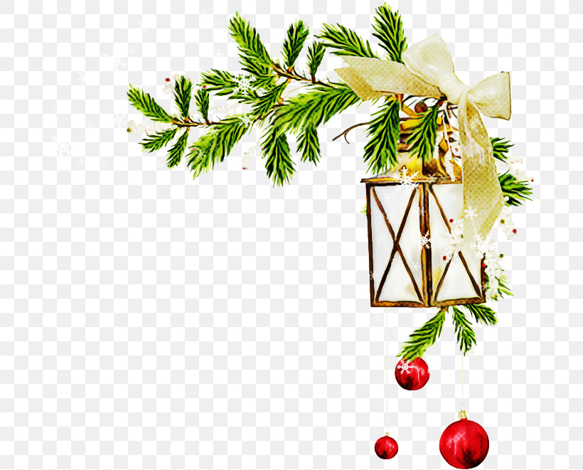 Christmas Ornament, PNG, 685x661px, Branch, Christmas, Christmas Decoration, Christmas Eve, Christmas Ornament Download Free