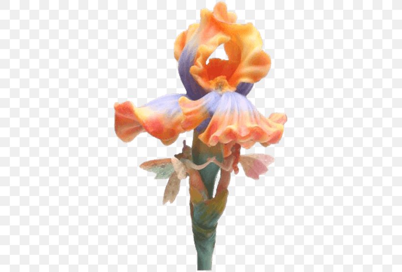 Fairy Flower Fairies Plant Stem, PNG, 555x555px, Fairy, Arumlily, Canna Lily, Collectable, Cut Flowers Download Free