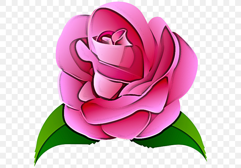 Garden Roses, PNG, 600x572px, Cabbage Rose, Cartoon, Garden Roses, Rose Download Free