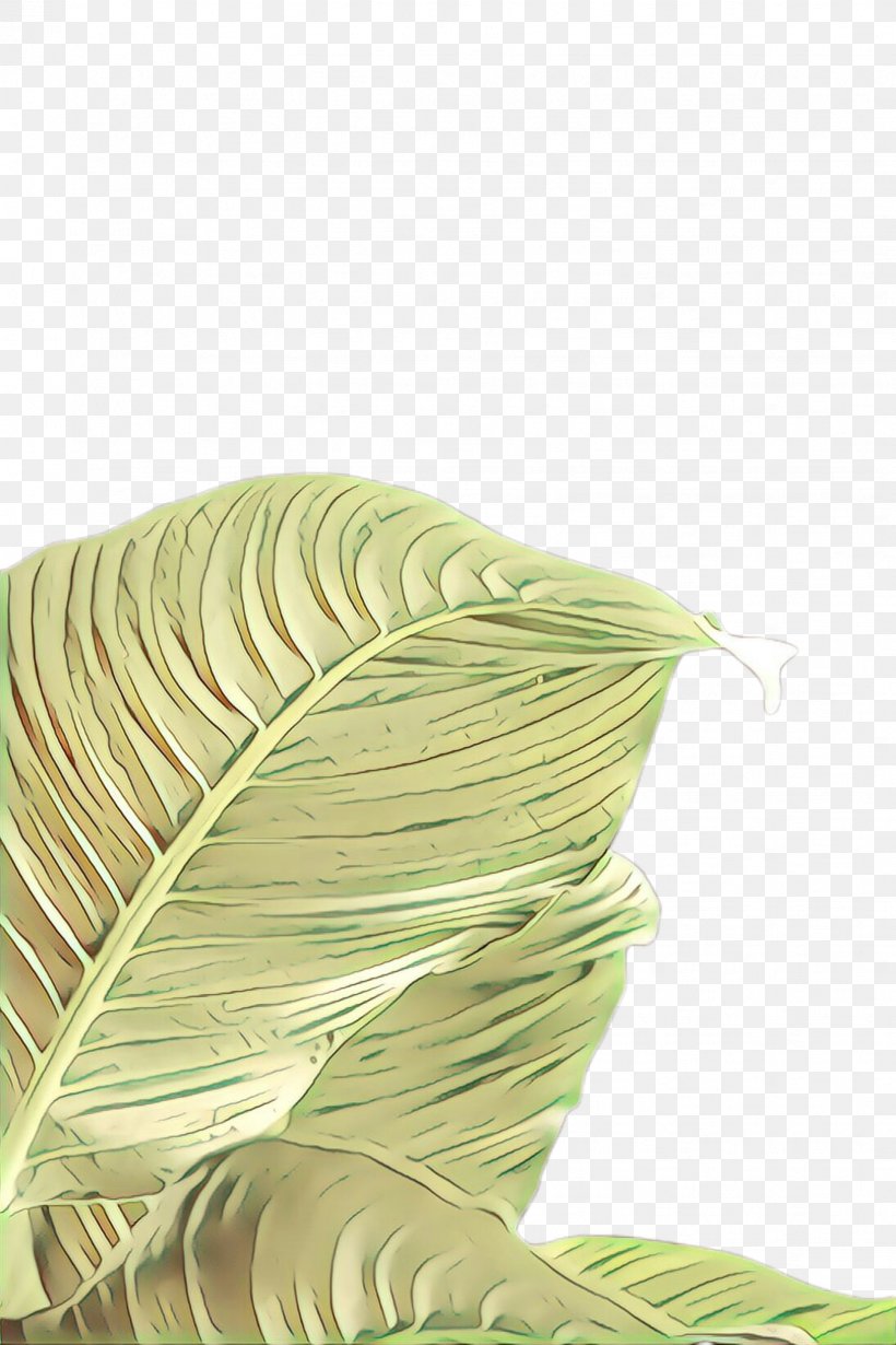 Green Leaf Line Plant Thread, PNG, 1632x2448px, Cartoon, Green, Leaf, Plant, Thread Download Free