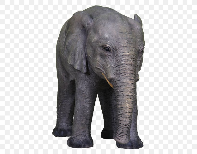 Indian Elephant African Elephant Wildlife Terrestrial Animal, PNG, 640x640px, Indian Elephant, African Elephant, Animal, Asian Elephant, Elephant Download Free