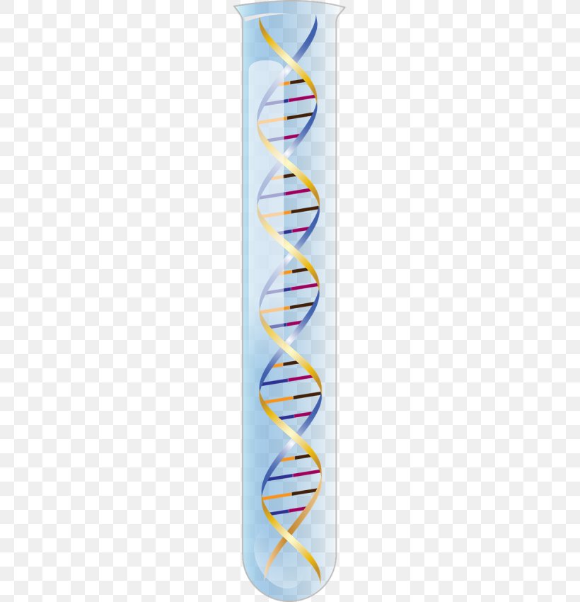 RNA Nucleic Acid Double Helix Science DNA, PNG, 425x850px, Rna, Chromosome, Dna, Gene, Genetics Download Free