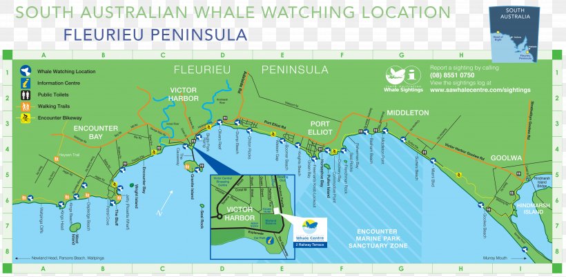 South Australian Whale Centre Aldinga Map Goolwa Profile Diagram, PNG, 4909x2405px, Map, Area, Cetacea, Diagram, Ecosystem Download Free