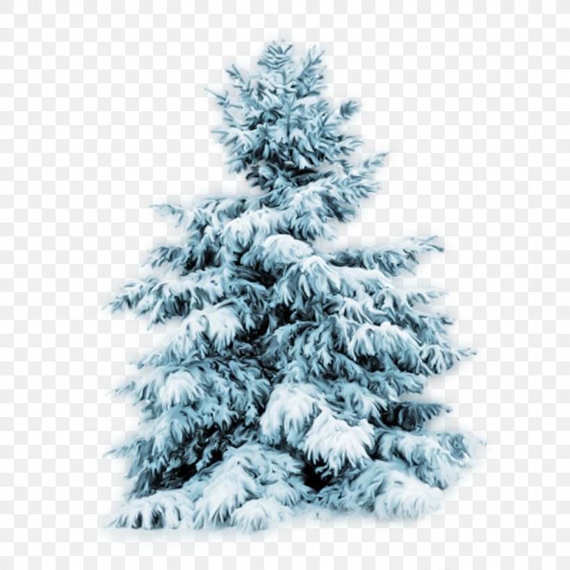 Tree Snow Desktop Wallpaper Pine, PNG, 1024x1024px, Tree, Christmas, Christmas Decoration, Christmas Lights, Christmas Ornament Download Free
