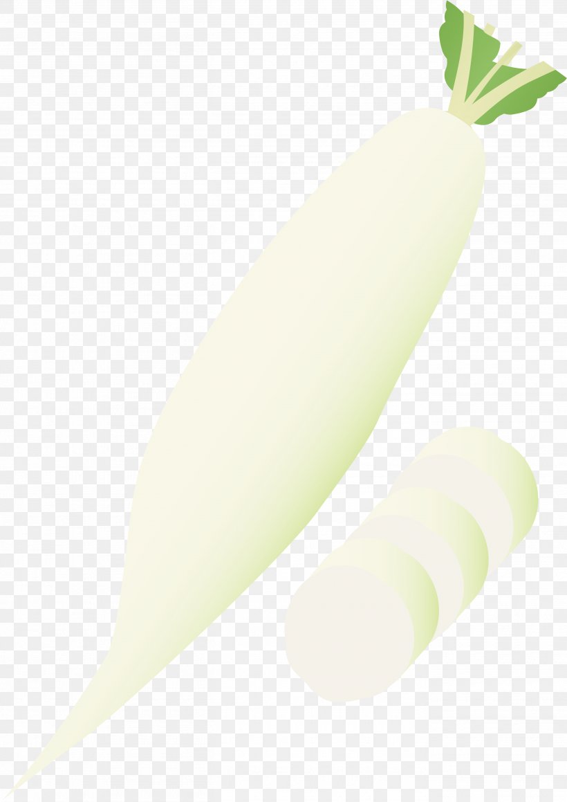 Copyright-free Vegetable Illustration Public Domain, PNG, 2715x3840px, Copyrightfree, Copyright, Daikon, Food, Painting Download Free