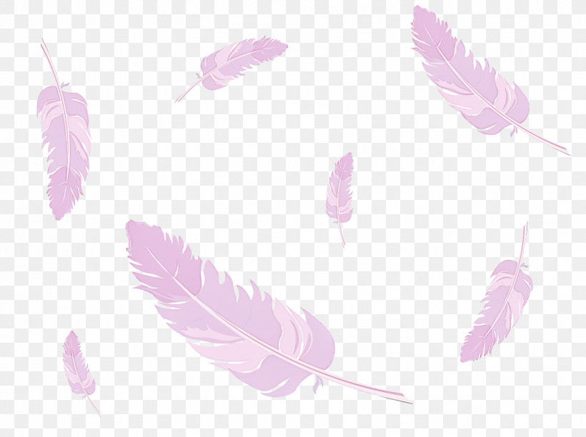 Feather, PNG, 1786x1335px, Feather, Leaf, Lilac, Magenta, Pink Download Free