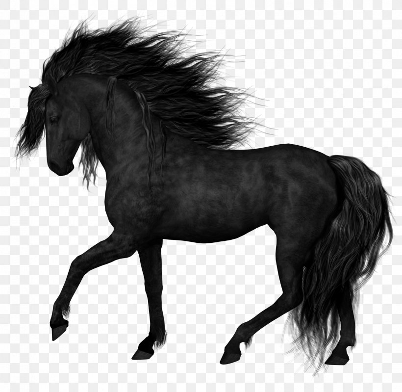 Friesian Horse Stallion Foal Black Clip Art, PNG, 1594x1555px, Friesian Horse, Black, Black And White, Bridle, Canter And Gallop Download Free