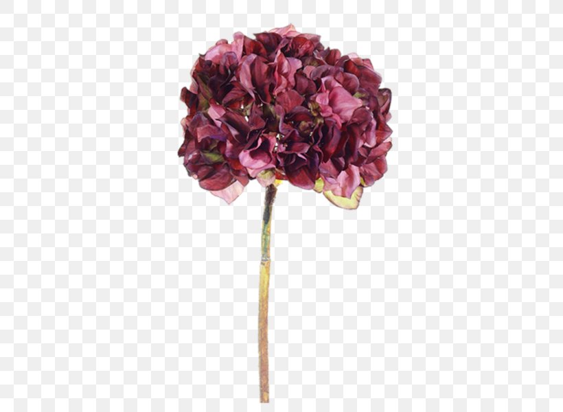 Purple Flower Violet, PNG, 600x600px, Purple, Artificial Flower, Color, Cornales, Cut Flowers Download Free