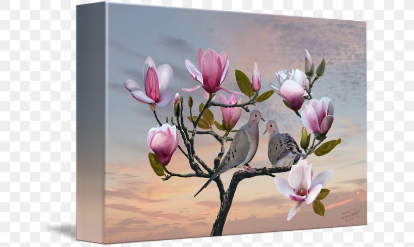 Still Life Photography, PNG, 650x489px, Still Life Photography, Blossom, Branch, Flower, Flowering Plant Download Free