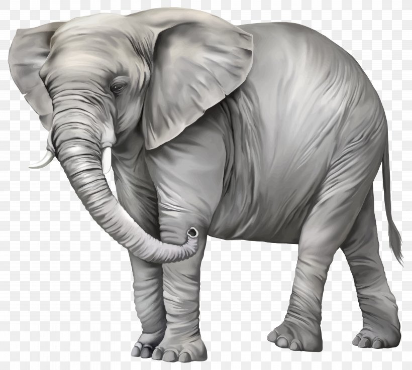 Asian Elephant Clip Art, PNG, 5194x4674px, Asian Elephant, African Elephant, Black And White, Drawing, Elephant Download Free