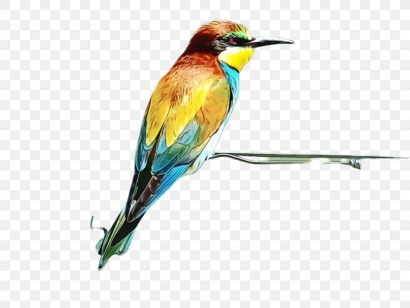 Bee Background, PNG, 2308x1732px, Watercolor, Beak, Bee, Bee Eater, Beeeater Download Free