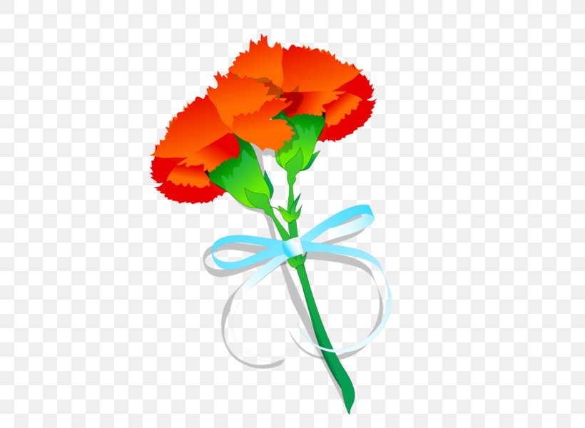Carnation Poppy Flower Drawing, PNG, 600x600px, Carnation, Annual Plant, Cartoon, Cut Flowers, Drawing Download Free